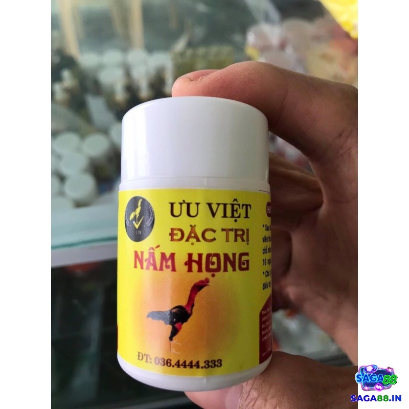 Cách chữa gà chọi bị nấm họng bằng thuốc kháng sinh