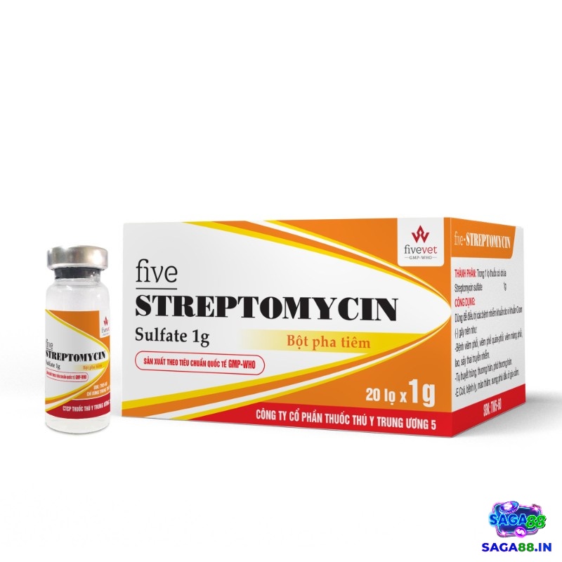 Sử dụng kháng sinh Streptomycin để trị bệnh truyền nhiễm 