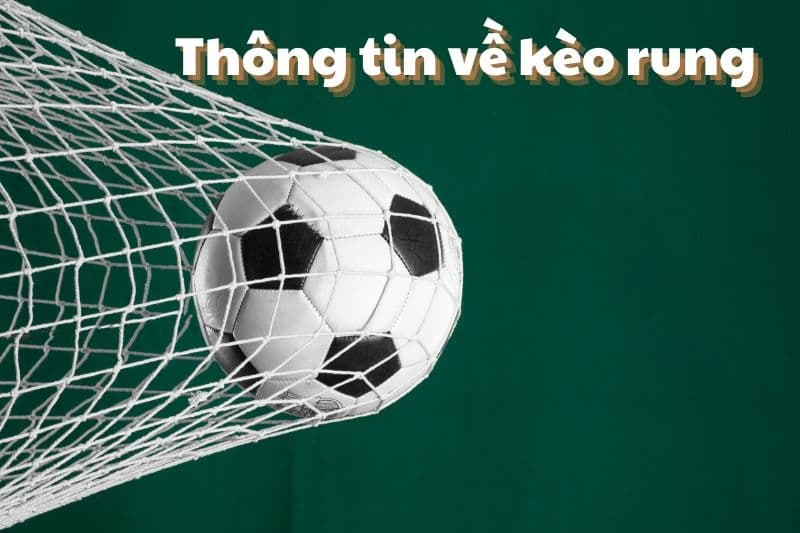 Kèo rung và những thông tin tân thủ không thể bỏ lỡ