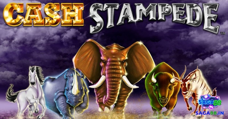 Cash Stampede là một game slot video 3D từ NextGen