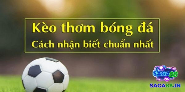 rong trận Derby ở nước Anh, đặt cược chấp 2.5 có thể là một lựa chọn khôn ngoan.