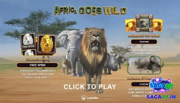 Độ biến động trong Africa Goes Wild đầy hấp dẫn