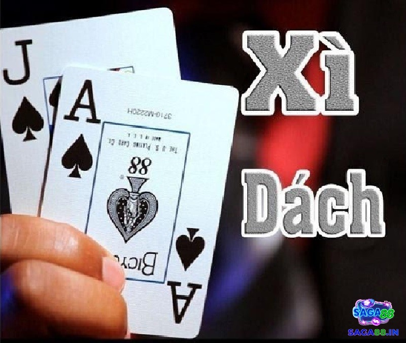 Xì dách là gì? Hướng dẫn chơi xì dách, đặt cược đúng luật