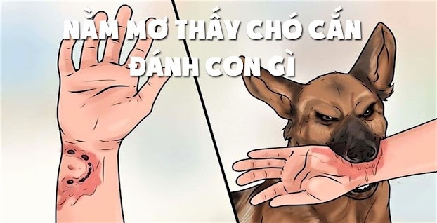 Bị chó cắn đánh lô con gì? 36 con số may mắn và ý nghĩa