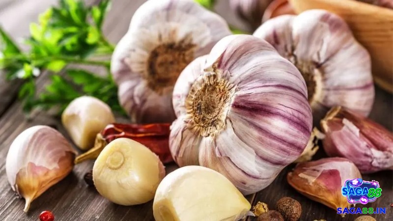 Những cách chữa gà chọi bị soi mỏ bằng những phương pháp dân gian hiệu quả nhất