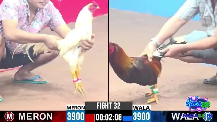 Kinh nghiệm tạo nên trực giác – công cụ vô hình giúp bạn thắng nhiều hơn