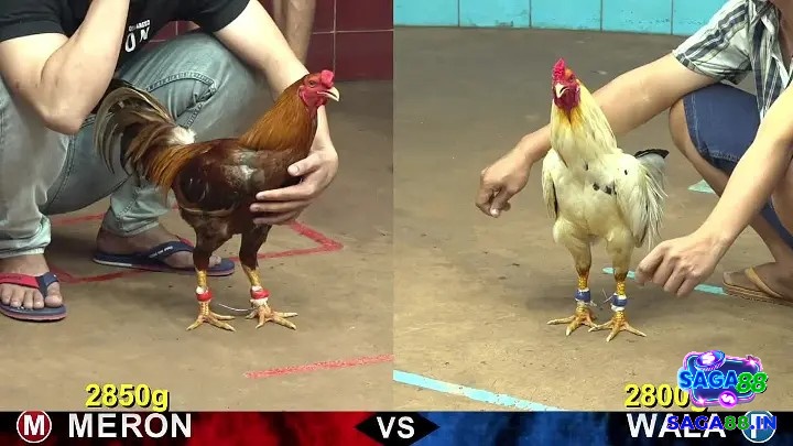 Ghi lại từng trận đấu giúp bạn phát hiện quy luật và tối ưu chiến thuật