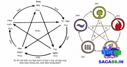 Thuyết ngũ hành trong văn hóa Á Đông được xem là nền tảng để giải thích các hiện tượng tự nhiên và xã hội
