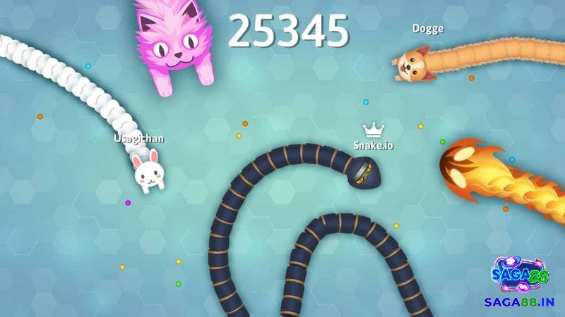 Khám phá đa dạng chế độ chơi game con rắn online để luôn tìm thấy phong cách phù hợp và trải nghiệm thú vị.
