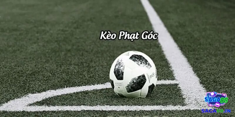 Biểu đồ thống kê số phạt góc trung bình mỗi trận giúp người chơi so sánh và tìm ra kèo hợp lý