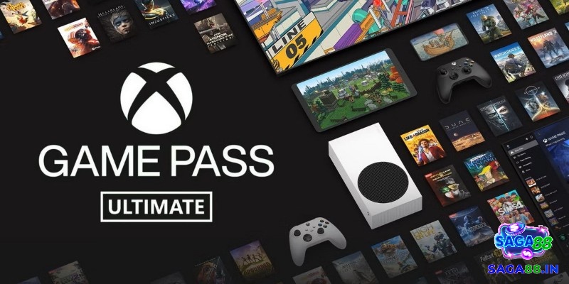 Các nền tảng như Steam, Epic, GOG và Xbox Game Pass PC tại Việt Nam.