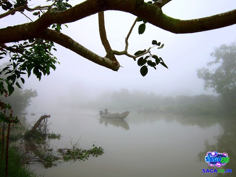 Giải mã giấc mơ thấy sương mù số mấy và các điềm báo liên quan