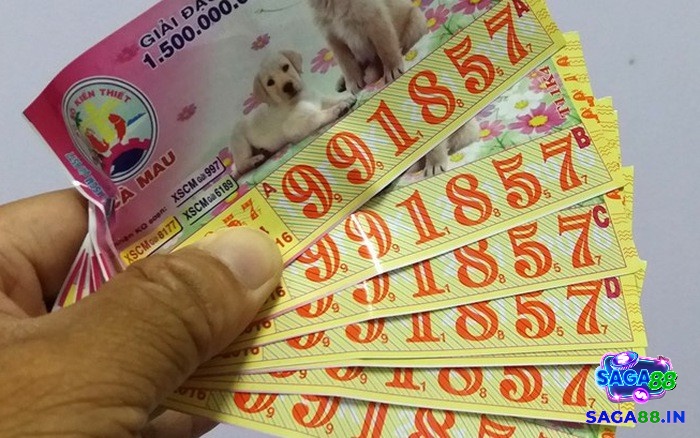 Giải mã giấc mơ thấy xổ số đánh con gì cùng các điềm báo liên quan
