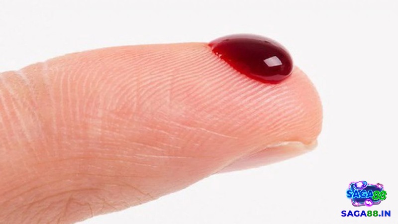 Giấc mơ thấy chảy máu đánh con gì mang đến cho bạn nhiều con số may mắn mỗi ngày